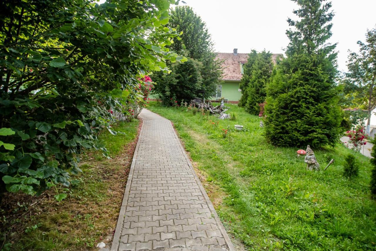 Hotel Marion Poiana Dumbraveni  Екстериор снимка