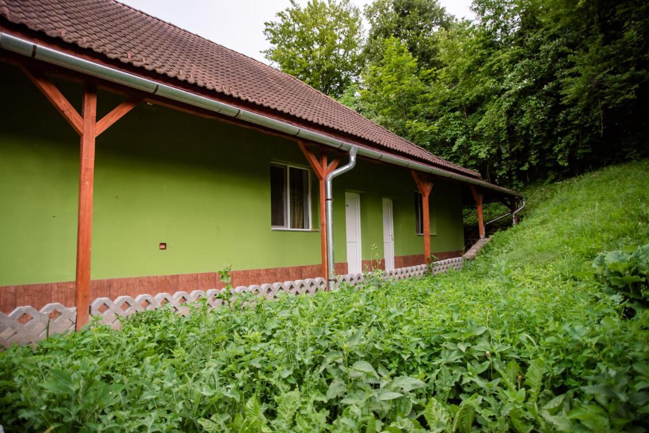Hotel Marion Poiana Dumbraveni  Екстериор снимка